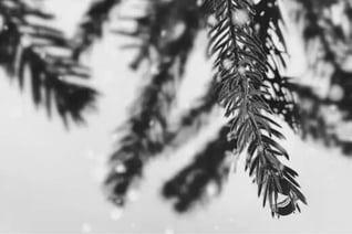 Untitled design (13)